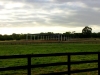 Horse arena with gable roof - Mornington Peninsula, Victoria